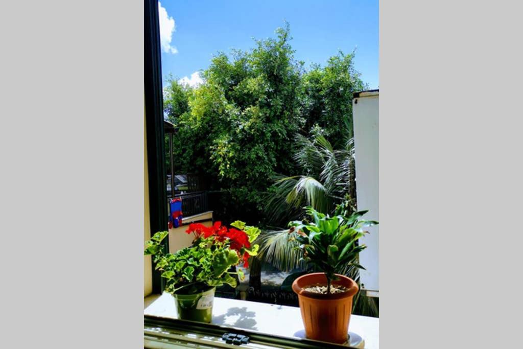 Ferienwohnung La Casetta Di Giuli Palermo Exterior foto